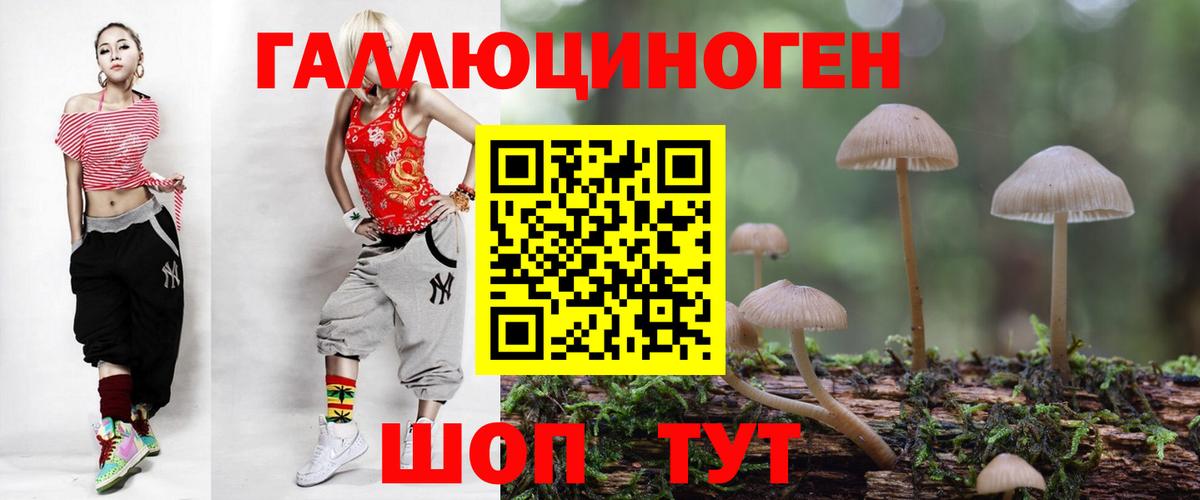 Ярославль  Псилоцибиновые грибы Cubensis  Псилоцибиновые грибы Psilocybe  купить наркотик  Вход с VPN 
